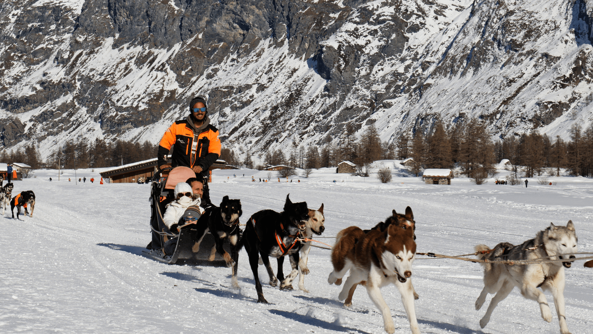 Dog_Sledding_-_things_to_do_in_jackson_hole_in_winter[1]
