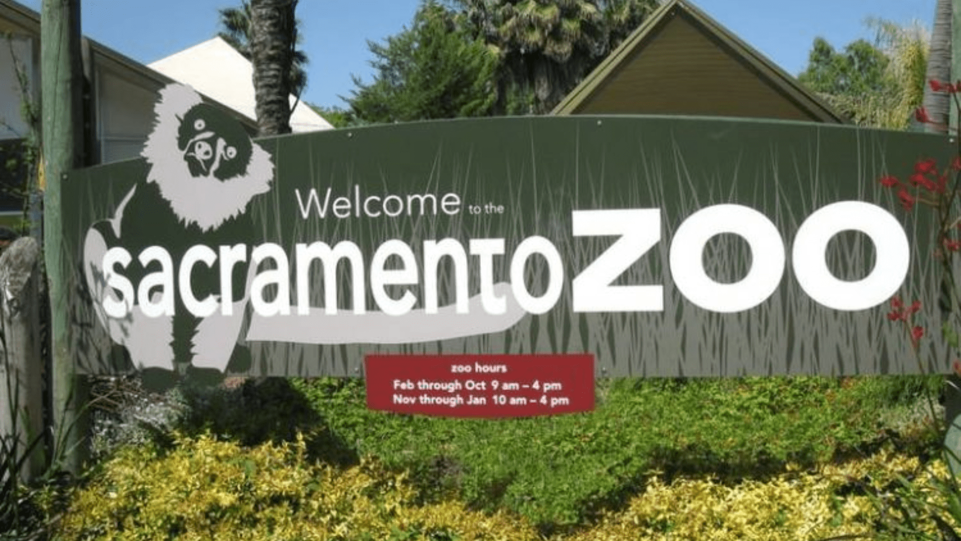 Sacramento_Zoo[1]