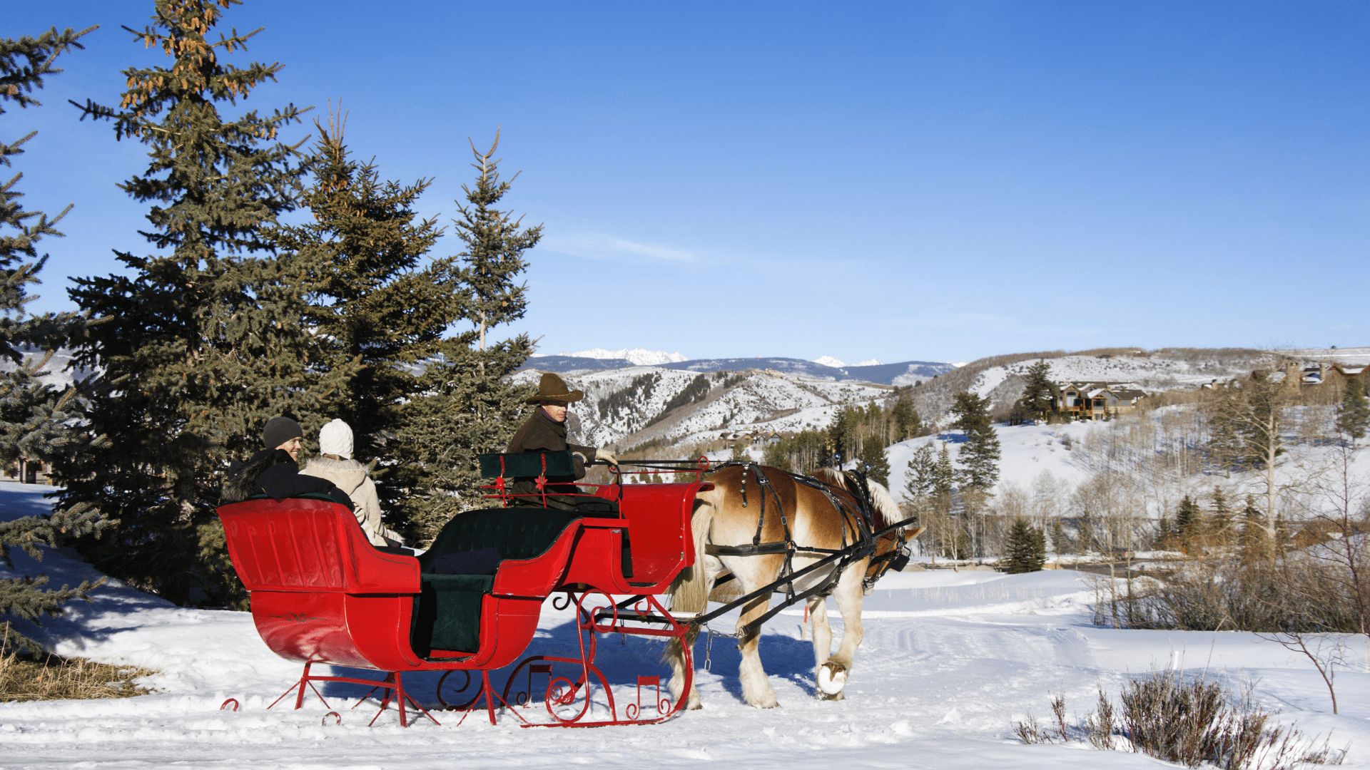 Sleigh_Rides_-_things_to_do_in_jackson_hole_in_winter[1]